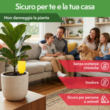 Carica l'immagine nel visualizzatore di Gallery, Pattler Trappola Moscerini per Piante da Interno – 60 Pezzi. Trappole Cromotropiche Gialle Adesive a Doppio Lato, Anti M