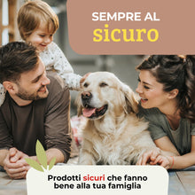 Carica l'immagine nel visualizzatore di Gallery, Albagarden Trappola Formiche con Gel Insetticida, 2 Casette Esca Anti Formiche, Elimina Colonia e Regina con Imidaclopri