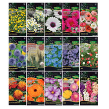Carica l'immagine nel visualizzatore di Gallery, Nojus - Collezione di semi di fiori e prato da giardino - 30 varietà - Semi di fiori per bordure, vasi da balcone, giard