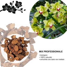 Carica l'immagine nel visualizzatore di Gallery, Kalapanta Terriccio per Orchidee Cymbidium 2L Pronto all'Uso - Mix Corteccia Bark naturale e Torba neutra Professionale 