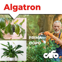 Carica l'immagine nel visualizzatore di Gallery, CIFO Algatron - Biostimolante per Piante a Base di Alghe Marine Brune, Potenzia la Crescita e le Difese Naturali delle P