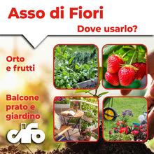 Carica l'immagine nel visualizzatore di Gallery, CIFO Asso di Fiori - Concime Piante Verdi e Fiorite in Polvere Solubile, Fertilizzante Orto, Giardino e Balcone - Contri