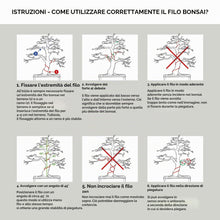 Carica l'immagine nel visualizzatore di Gallery, HAPPY SEED 10 m Filo per Bonsai in Alluminio anodizzato, Nero - Essenziale per Ottenere la Forma Desiderata del Bonsai -