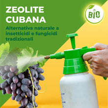 Carica l'immagine nel visualizzatore di Gallery, Solabiol Zeolite Cubana, Polvere di Roccia, Corroborante Che combatte e previene Insetti e Funghi delle Piante. Ideale p