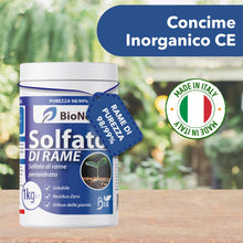 Carica l'immagine nel visualizzatore di Gallery, Solfato di Rame | Concime Inorganico Puro 98/99% | Rame Solubile 25% | Uso Agricolo e Biologico | Residuo Zero | Rame Pe