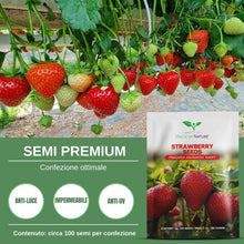 Carica l'immagine nel visualizzatore di Gallery, Magic of Nature: Semi di Fragola Gigante circa 100 pz