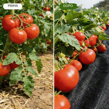 Carica l'immagine nel visualizzatore di Gallery, Telo Pacciamatura 2x5 M, Telo Anti Erbacce per Orto, Giardino, Tessuto Permeabile all'Acqu, Stabilizzazione ai Raggi UV,