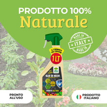 Carica l'immagine nel visualizzatore di Gallery, Albagarden - Olio Di Neem Per Piante - MAXI x 1 Litro - Soluzione Naturale Contro Insetti Funghi Cocciniglia, Acari Afid