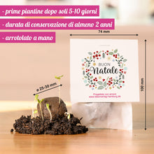 Carica l'immagine nel visualizzatore di Gallery, 10x "Buon Natale" bombe di semi – eco-regalo e piccolo pensiero natalizio – segnaposto sostenibile e portafortuna per co