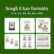 Carica l'immagine nel visualizzatore di Gallery, Biotica Aurum Terriccio Universale Fertilizzato 5L con Humus di Lombrico