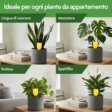 Carica l'immagine nel visualizzatore di Gallery, Pattler Trappola Moscerini per Piante da Interno – 60 Pezzi. Trappole Cromotropiche Gialle Adesive a Doppio Lato, Anti M