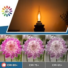 Carica l'immagine nel visualizzatore di Gallery, Lampadina E14 LED Candela Retrò Vintage Filamento Lampada Candela C22 0.7w Equivalente 7 Watt 2200K Ultra Caldo, 50 lume