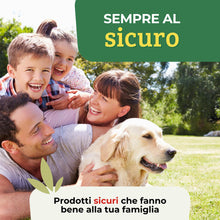 Carica l'immagine nel visualizzatore di Gallery, Albagarden - Nutrimento Per Coltivazione Idroponica E Idrocoltura - Formula Potenziata, Concime Ideale Per Serra Indoor,