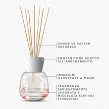 Carica l&#39;immagine nel visualizzatore di Gallery, Yankee Candle Signature Diffusore a bastoncini | Sabbie rosa | 100 ml | Fino a 10 settimane di fragranza | Confezione riciclabile | Un regalo perfetto per una donna