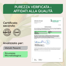 Carica l'immagine nel visualizzatore di Gallery, D-Mannosio puro in Polvere 250g – Raibu D Mannosio Polvere Confezionato e Testato in Europa I Naturale e Vegan I Cucchia