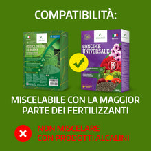 Carica l'immagine nel visualizzatore di Gallery, LERAVA Ossicloruro di Rame (800 g) - Verderame Rameico BIO per piante - Fungicida contro Peronospora e Bolla del Pesco -