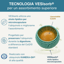 Carica l'immagine nel visualizzatore di Gallery, Igennus VESIsorb Ubiquinolo 100mg Kaneka, Ubichinolo Coenzima Q10