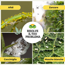Carica l'immagine nel visualizzatore di Gallery, Albagarden - Olio Di Neem Per Piante - MAXI x 1 Litro - Soluzione Naturale Contro Insetti Funghi Cocciniglia, Acari Afid