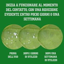Carica l'immagine nel visualizzatore di Gallery, LERAVA Olio di Neem per Piante (700 ml) - Spray Repellente per Cocciniglia