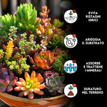 Carica l'immagine nel visualizzatore di Gallery, ZOMA VULC Lapillo vulcanico per piante 10/16 mm, migliora drenaggio e composizione del substrato, Ideale per bonsai, pia