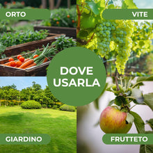 Carica l'immagine nel visualizzatore di Gallery, Miscela Neem-Po per Piante Biologico | Olio di Neem + Sapone molle di potassio Solubile Ottimo Contro le Avversità Ester