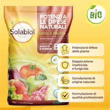 Carica l'immagine nel visualizzatore di Gallery, Solabiol Zeolite Cubana, Polvere di Roccia, Corroborante Che combatte e previene Insetti e Funghi delle Piante. Ideale p