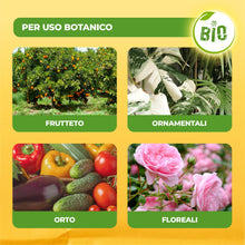 Carica l'immagine nel visualizzatore di Gallery, Solabiol Zeolite Cubana, Polvere di Roccia, Corroborante Che combatte e previene Insetti e Funghi delle Piante. Ideale p