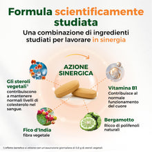 Carica l'immagine nel visualizzatore di Gallery, Armolipid Colesterolo Plus, Integratore con Fitosteroli, 30 Compresse