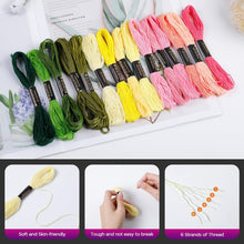 Carica l'immagine nel visualizzatore di Gallery, Romon 50 Colori Fili da Ricamo, Fili da Ricamo con Accessori per Amicizia Braccialetti Mestieri, Fili Punto Croce per Maglieria Punto Croce, 8m (50 Colori)