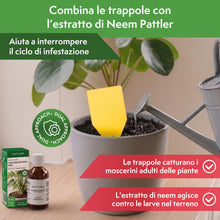 Carica l'immagine nel visualizzatore di Gallery, Pattler Trappola Moscerini per Piante da Interno – 60 Pezzi. Trappole Cromotropiche Gialle Adesive a Doppio Lato, Anti M