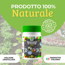 Carica l'immagine nel visualizzatore di Gallery, Albagarden - Bicarbonato Di Potassio Bio Per Agricoltura Naturale E Piante - Disacidan Contro Oidio Muffa Grigia Peronos