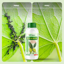 Carica l'immagine nel visualizzatore di Gallery, Fitokem Sapone Molle di Potassio 1lt e Olio di Neem 1lt Kit Protezione Piante Corroborante Naturale per Orto e Giardino 