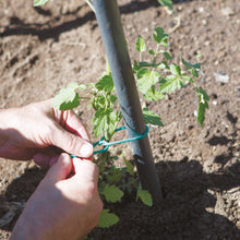 Carica l'immagine nel visualizzatore di Gallery, TENAX Tubetto Agricolo Verde 1000g Diametro 2mm, Legatura in PVC per Piante, ortaggi e Fiori, Lunghezza Circa 240 m,1 item