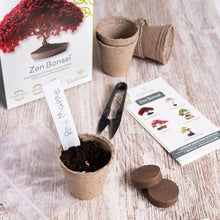 Carica l'immagine nel visualizzatore di Gallery, Cultivea Mini - Bonsai Ready-to-Grow Kit - Semi francesi 100% ecologici - Giardino e decorazione - Idea regalo (Mela rossa, Cercis cinese, Ginepro, Liquidambar, Abete rosso)