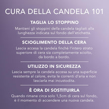 Carica l'immagine nel visualizzatore di Gallery, Yankee Candle Scented Candle | Candela in giara grande della Lavanda Essiccata e Quercia | Candele a lunga combustione: fino a 150 ore | Regali perfetti per le donne