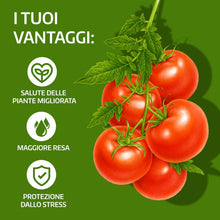 Carica l'immagine nel visualizzatore di Gallery, LERAVA Ossicloruro di Rame (800 g) - Verderame Rameico BIO per piante - Fungicida contro Peronospora e Bolla del Pesco -