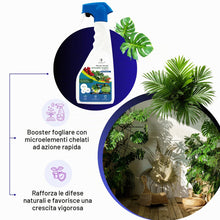 Carica l'immagine nel visualizzatore di Gallery, GebEarth® | Rame e Zolfo Per Piante Spray 1L | Integratore per Piante contro Ingiallimenti, Carenze, Macchie Brune, Oidi