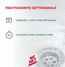 Carica l'immagine nel visualizzatore di Gallery, Wc Net Professional Trattamento Scarichi Domestici, Fragranza Pino 1000 ml