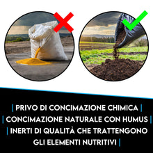 Carica l'immagine nel visualizzatore di Gallery, ZOMA Terriccio per Agrumi professionale Con Ph Leggermente Acido - Terriccio agrumi Concimato naturalmente con il 20% di