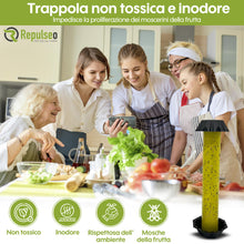 Carica l'immagine nel visualizzatore di Gallery, Trappola per Mosche dei Frutti ✯Made in UE✯, Anti Moscherini Interno, Attrape Moscherini Cucina, Piega Moscherini e Mosc