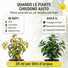 Carica l'immagine nel visualizzatore di Gallery, Olio di Neem Puro per Piante 240 ml Concentrato - Fa 12 Litri al 2%