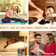 Carica l'immagine nel visualizzatore di Gallery, AESHORY Set di Oli Essenziali per Diffusori 6 x 10ML, 100% Puri Naturali Olio Essenziale Profumate per Aromaterapia, SPA, Massaggio - Lavanda, Tea Tree, Menta Piperita, Eucalipto, Arancia Dolce
