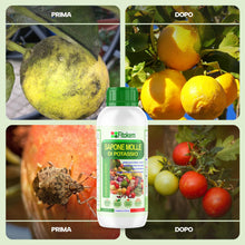 Carica l'immagine nel visualizzatore di Gallery, Fitokem Sapone Molle di Potassio 1lt e Olio di Neem 1lt Kit Protezione Piante Corroborante Naturale per Orto e Giardino 