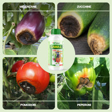 Carica l'immagine nel visualizzatore di Gallery, Fitokem CAMA-L Concime per Orto Liquido 1KG Concime per Piante da Frutto con Calcio, Magnesio e Azoto Fertilizzante Orto
