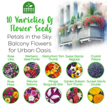 Carica l'immagine nel visualizzatore di Gallery, Nojus - Set di semi di fiori – Semi di fiori 10 varietà – Semi di fiori da balcone – Semi di piante colorate – 10 confez