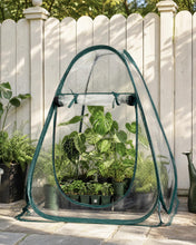 Carica l'immagine nel visualizzatore di Gallery, Bamworld Mini Serra Pop Up in PVC Trasparente 71 × 71 × 81 cm