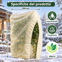Carica l'immagine nel visualizzatore di Gallery, Diealles Shine Cappuccio Protezione Piante 2 Pezzi 240x200cm, con Cordino di Fissaggio per Piante in Vaso（Beige）
