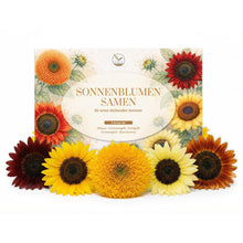 Carica l'immagine nel visualizzatore di Gallery, Semi di girasole colorati con alto tasso di germinazione - semi di fiori per un giardino colorato e accogliente per le a