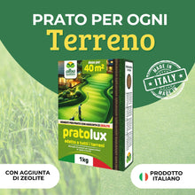 Carica l'immagine nel visualizzatore di Gallery, Albagarden - Semi Prato Universale Resistente - 40m² - Per Zone Ombreggiate e Soleggiate - Sementi Erba per Tappeti Erbo