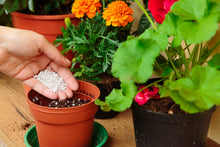 Carica l'immagine nel visualizzatore di Gallery, R&amp;R SHOP – Perlite Espansa Media, PH Neutro Ideale per Il Giardinaggio, Germinazione, Areazione Migliorando la Crescita 